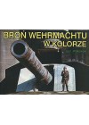 BRON WEHRMACHTU W KOLORZE