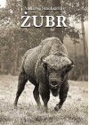 ZUBR