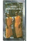 ANIOLY PRZEZNACZENIA- KARTY