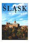 SLASK