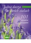 JEDNA DUSZA W DWOCH CIALACH - 101 CYTATOW O PRZYJAZNI