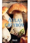 ATLAS GRZYBOW