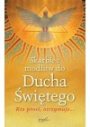 SKARBIEC MODLITW DO DUCHA SWIETEGO