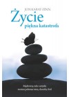 ZYCIE PIEKNA KATASTROFA