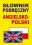 SLOWNIK PODRECZNY ANGIELSKO - POLSKI