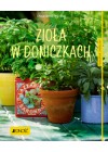 ZIOLA W DONICZKACH