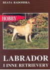 LABRADOR I INNE RETRIEVERY