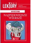 NAJPIEKNIEJSZE WIERSZE