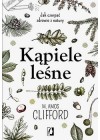 KAPIELE LESNE