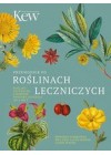 PRZEWODNIK PO ROSLINACH LECZNICZYCH