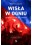 WISLA W OGNIU. JAK BANDYCI UKRADLI WISLE KRAKOW