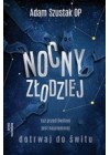 NOCNY ZLODZIEJ