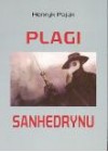 PLAGI SANHEDRYNU 