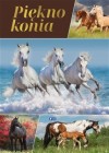Piekno konia