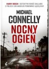 Nocny ogien