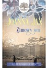 Zimowy sen