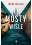 Mosty na Wisle