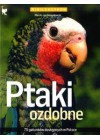 PTAKI OZDOBNE